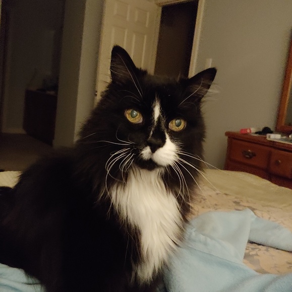 Meet your Posher, Robyn - Picture 1 of 1